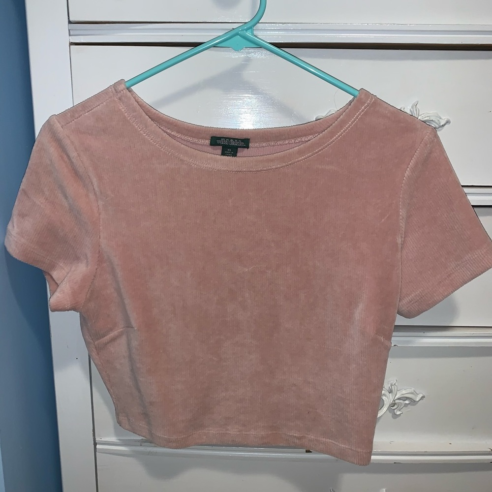 Wild fable crop top